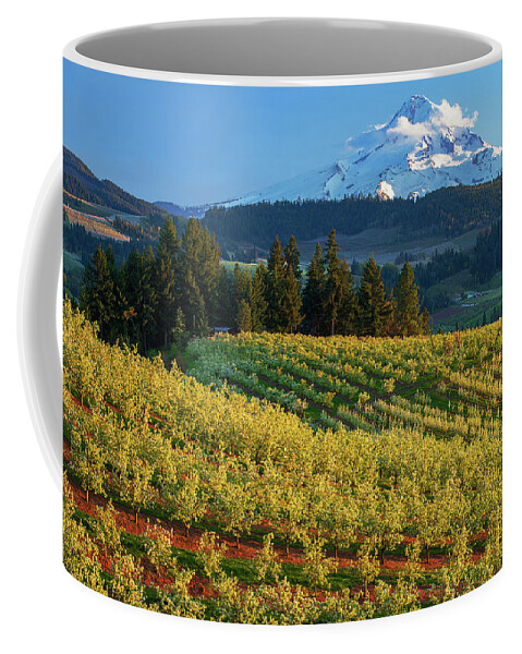 Oregon Coffee Mug featuring the photograph Hood River Orchards by Patrick Campbell