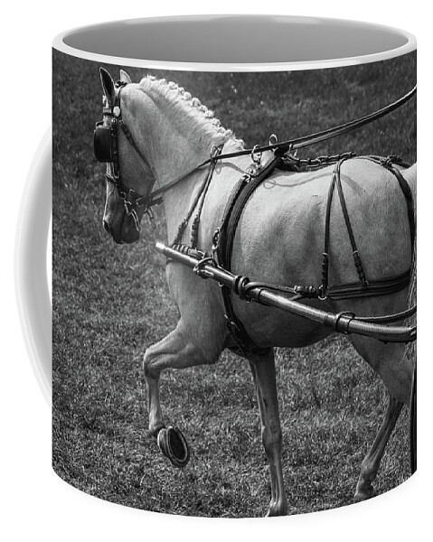 Horse Coffee Mug featuring the photograph Horse 11 by Phil S Addis
