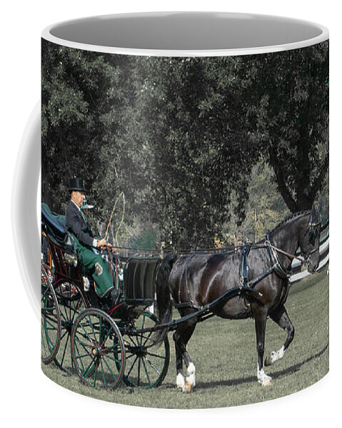 Horse Coffee Mug featuring the photograph Horse 34 by Phil S Addis
