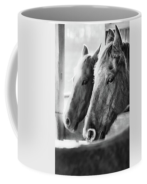 Nature Coffee Mug featuring the photograph Horse Portrait 3 by Andrea Anderegg