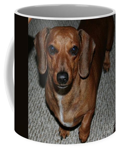 Hot Dog Coffee Mug featuring the photograph Hot Dog by Barbra Telfer