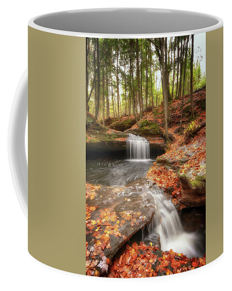 Waterfall Coffee Mug featuring the photograph Houghton Falls Nature Preserve by Susan Rissi Tregoning