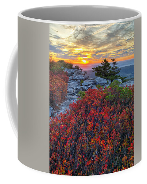 Dolly Sods Coffee Mug featuring the photograph Huckleberry Red by Jaki Miller