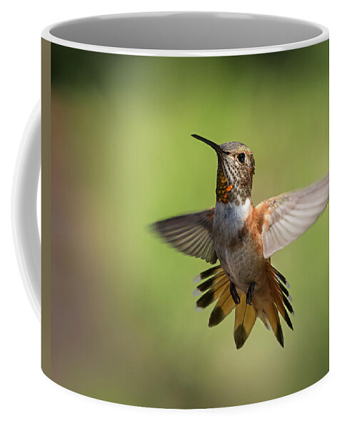 Hummer Coffee Mug featuring the photograph Hummingbird 6 by Endre Balogh