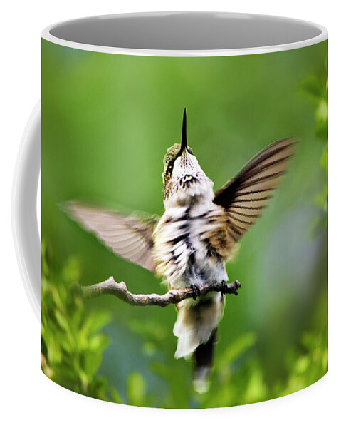Hummingbird Coffee Mug featuring the photograph Hummingbird Happy Dance by Christina Rollo