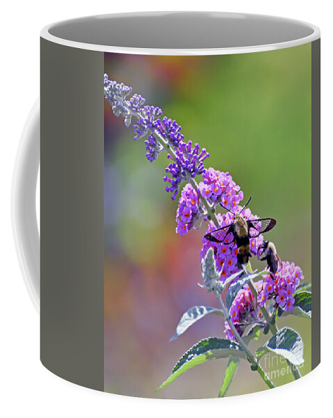 Insects Coffee Mug featuring the photograph Hummingbird Moth and Bee Share the Butterfly Bush by Kerri Farley