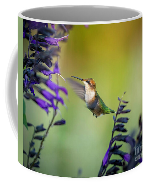 Hummingbird Coffee Mug featuring the photograph Hummingbird with Purple 2 by Bill Frische