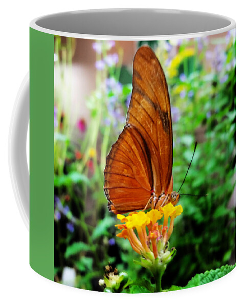 Butterfly Coffee Mug featuring the mixed media Hungry Orange Butterfly by Ally White