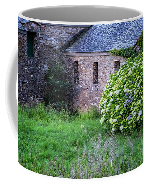 Cudillero Spain Coffee Mug featuring the photograph Hydrangeas And Stone House by Tom Singleton