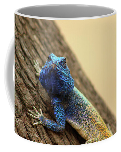  Coffee Mug featuring the photograph I am turning Blue ... by Eric Pengelly