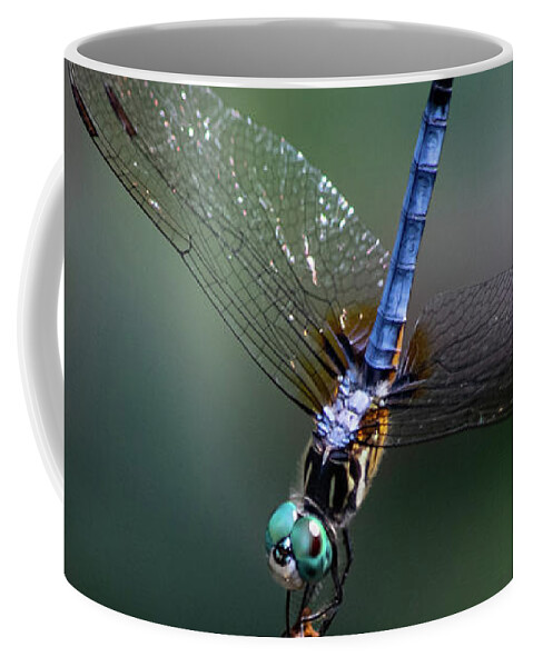 Dragonfly Coffee Mug featuring the photograph I Could Stay Like This All Day by Mary Ann Artz