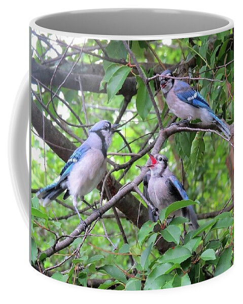 Blue Jays Coffee Mug featuring the photograph I Fed Him Last Time by Linda Stern
