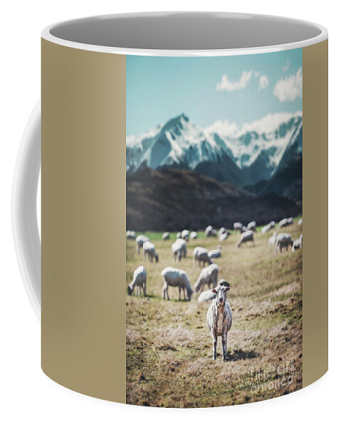 Kremsdorf Coffee Mug featuring the photograph I See Ewe by Evelina Kremsdorf