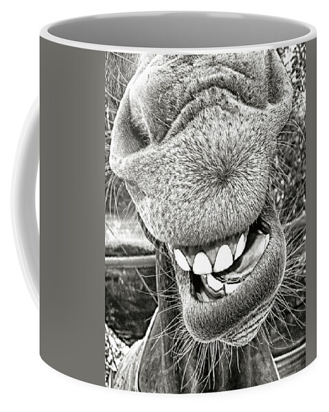 Long Ears Coffee Mug featuring the photograph I Use Whitening Strips, Platinum by Don Schimmel