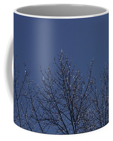 Nature Coffee Mug featuring the photograph Ice Tree by Robert E Alter Reflections of Infinity