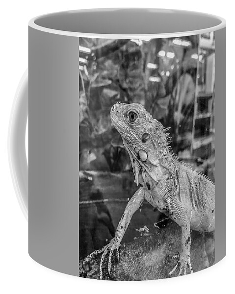 Iguana Portrait Coffee Mug featuring the photograph Iguana Portrait Black and White by Lesa Fine