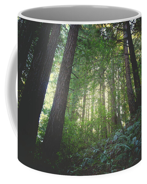 Redwood Regional Park Coffee Mug featuring the photograph I'll Still Be Loving You by Laurie Search