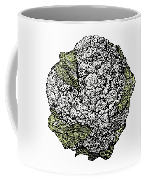 Cauliflower Coffee Mug featuring the photograph Illustration Of Cauliflower by Ikon Images