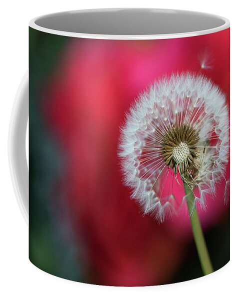Dandelion Coffee Mug featuring the photograph In Good Company by Vanessa Thomas