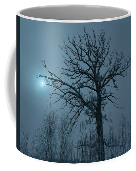 Lone Tree Coffee Mug featuring the photograph In the Mist by Arthur Oleary