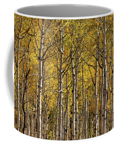 Colorado Coffee Mug featuring the photograph In The Thick Of Aspen by Doug Sturgess
