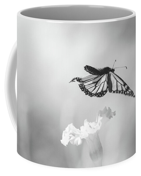 Butterfly Butterflies Insect Close-up Closeup Close Up Ir Infra Red Infrared 720nm 720 Nm Nanometer Ma Mass Massachusetts New England Newengland U.s.a. Usa Brian Hale Brianhalephoto Fineart Fine Art Outside Outdoors Nature Natural Wild Life Wildlife Wings Monarch Black & White B&w N Coffee Mug featuring the photograph Infrared Flight by Brian Hale
