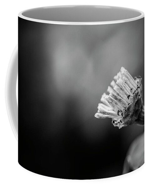 Blumwurks Coffee Mug featuring the photograph Insignificant Me by Matthew Blum