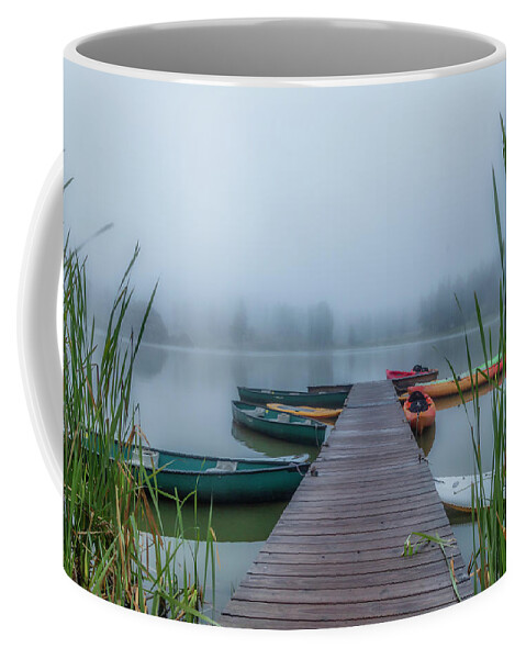 Fog Coffee Mug featuring the photograph Into The Fog by Lorraine Baum