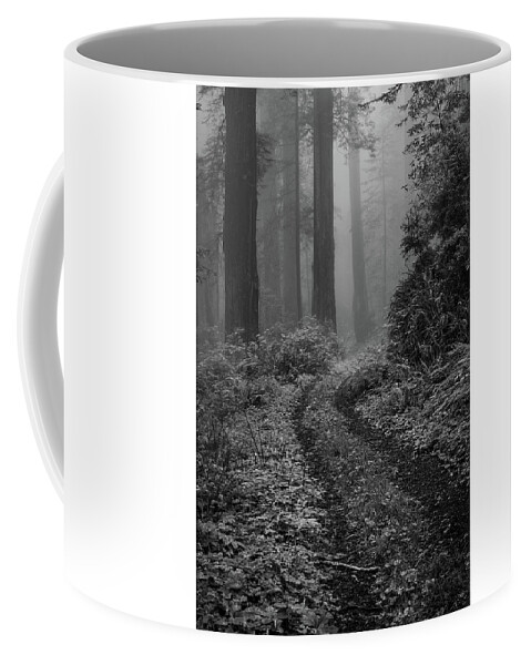 Into The Mist Coffee Mug featuring the photograph Into the Mist B / W by George Buxbaum