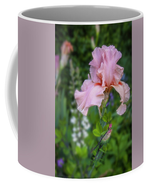 Pink Coffee Mug featuring the photograph Iris, c. 'Magical Encounter' by Mark Mille