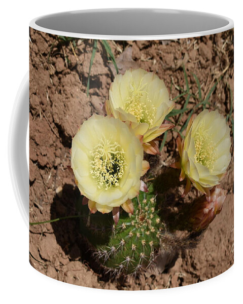 Cactus Coffee Mug featuring the digital art Is in it time? by Yenni Harrison