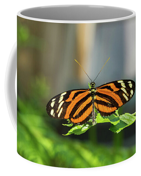 Isabella Coffee Mug featuring the photograph Isabella Longwing Butterfluy by Jim Vallee