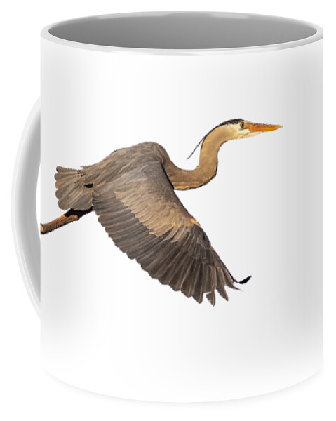 Great Blue Heron Coffee Mug featuring the photograph Isolated Great Blue Heron 2019-1 by Thomas Young
