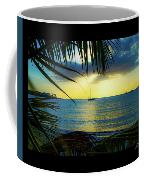  Coffee Mug featuring the photograph Jamaica IMG 5816 by Jana Rosenkranz