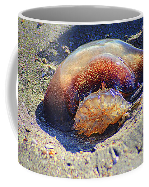 Cannonball Jellyfish Coffee Mug featuring the photograph Jellyfish Stuck In The Sand by Cynthia Guinn
