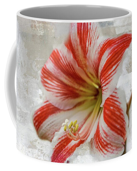 Amaryllis Coffee Mug featuring the photograph Jersey Lily by Eva Lechner