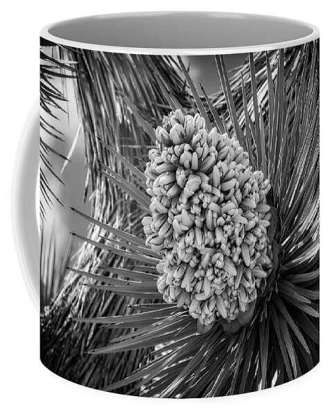 Joshua Tree Blooms Coffee Mug featuring the photograph Joshua Tree Super Bloom by Sandra Selle Rodriguez