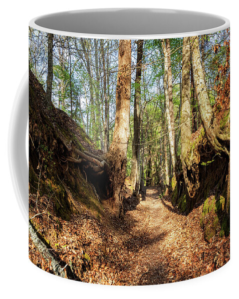 Path Coffee Mug featuring the photograph Journey into the Past by Susan Rissi Tregoning