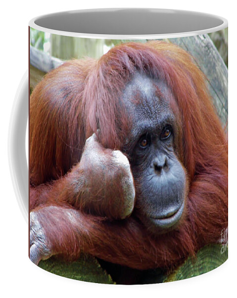 Orangutan Coffee Mug featuring the photograph Keep Talking I Am Listening by D Hackett