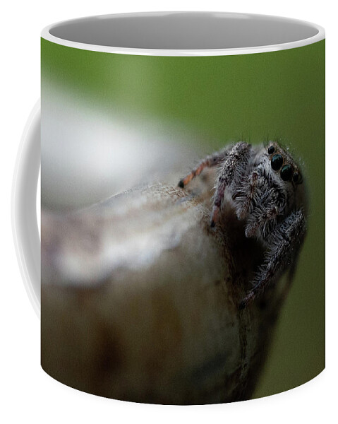 Keeping Coffee Mug featuring the photograph Keeping Some Eyes on You by Brooke Bowdren