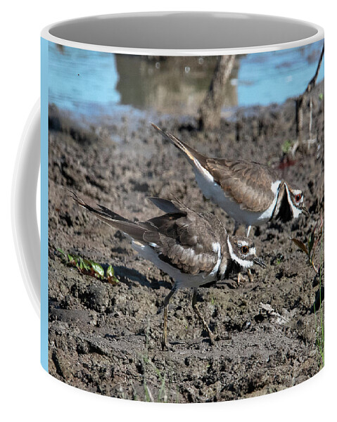Nature Coffee Mug featuring the photograph Killdeer DMSB0190 by Gerry Gantt