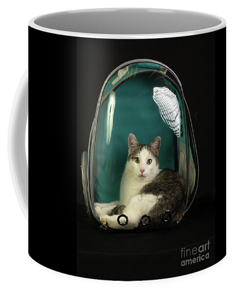 Cat Coffee Mug featuring the photograph Kitty in a Bubble by Susan Warren