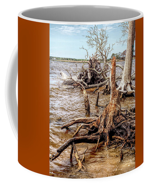 Nature Coffee Mug featuring the photograph Land and Sea 2 by Bearj B Photo Art