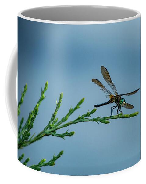 Dragon Fly Coffee Mug featuring the photograph Landed by Cathy Kovarik