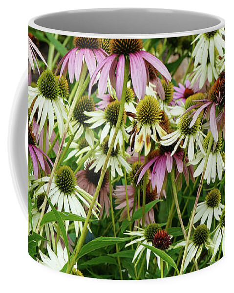 Flowers Coffee Mug featuring the photograph Last Buds of Summer by Christine Chin-Fook