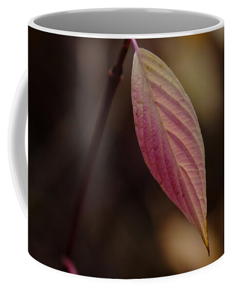 Leaf Coffee Mug featuring the photograph Last Colors by Jessica Myscofski