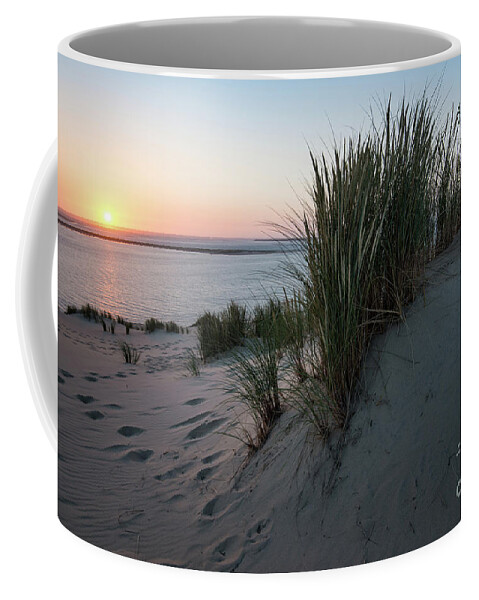 Natural Environment Coffee Mug featuring the photograph Last Sunlight For Today by Hannes Cmarits