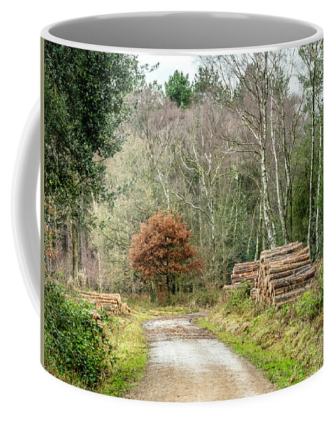 Track Coffee Mug featuring the photograph Late Leaves by Nick Bywater