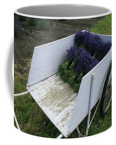 Garden Coffee Mug featuring the photograph Lavender Farm Harvest by Leslie Struxness