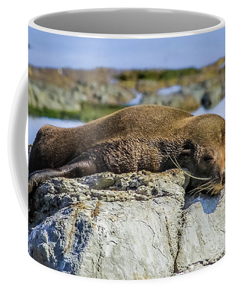 Seal Coffee Mug featuring the photograph Lazy fur seal on a rock, Cape Foulwind, New Zealand by Lyl Dil Creations